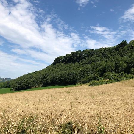 Agriturismo L'Esinante Cupramontana Zewnętrze zdjęcie