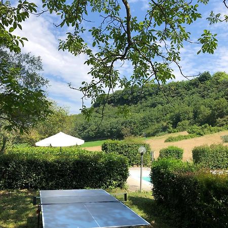 Agriturismo L'Esinante Cupramontana Zewnętrze zdjęcie
