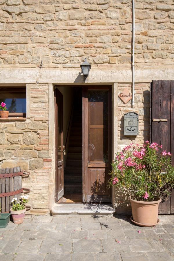 Agriturismo L'Esinante Cupramontana Zewnętrze zdjęcie