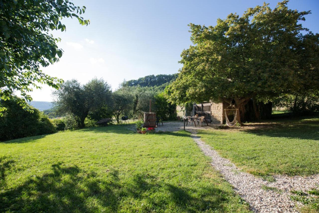Agriturismo L'Esinante Cupramontana Zewnętrze zdjęcie